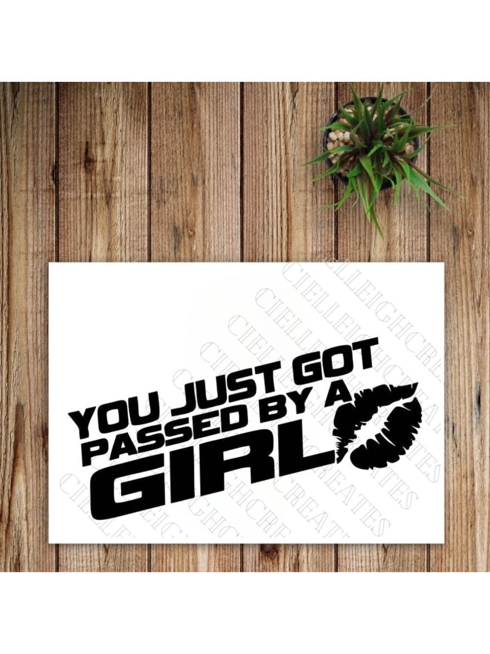 *2 for $20* You Just Got Passed By A Girl vinyl decal Sticker Handcrafted